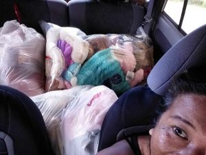 Photo of bags of stuffed animals in back of Lani's car