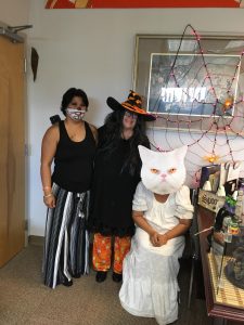Photo of Hilo office staff dressed in Halloween costumes